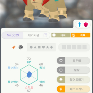 포켓몬스터 닌텐도 포고산 이로치 테라키온