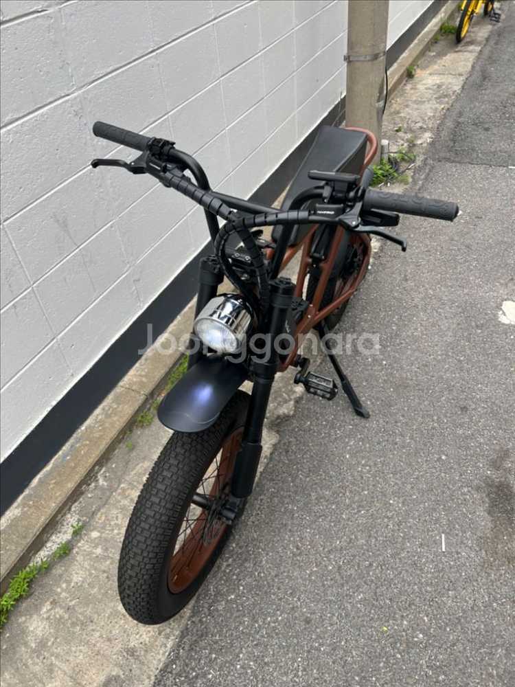 모페즈 fs 500w--2