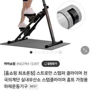 운동기구 스텝퍼