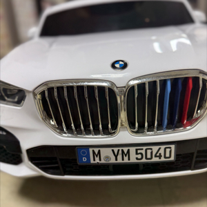 파파야나인 정품 BMW X5푸쉬카