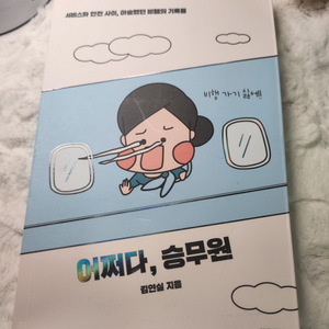 어쩌다, 승무원 김연실 지음 책 스튜어디스