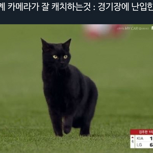 5/9 쓱기아전 야구티켓 문학