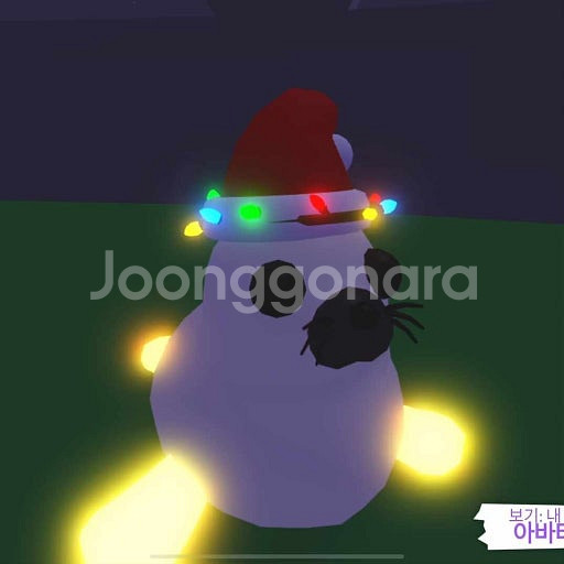 입양하세요 하프물개 구매합니다--0