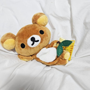 (정품) 리락쿠마 새싹 낮잠 인형