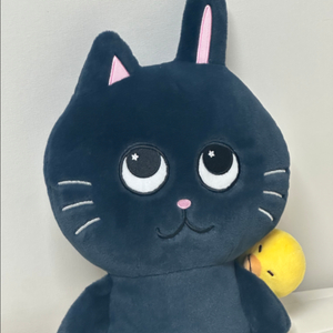 라이즈 원빈 인형 40cm 토냥덕 양도