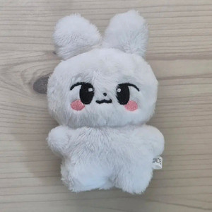 스키즈 10cm 인형 뽀리 리노 급처 양도