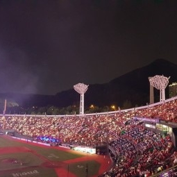 5/6 롯데 vs SSg 1루 응원탁자 2연석 양도