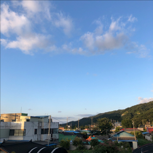 롤 아이디 팔아요
