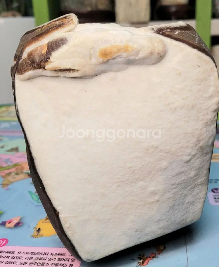 포항혹돌--0