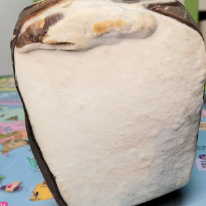 포항혹돌