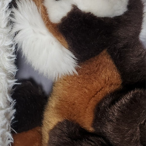 랫서팬더 인형