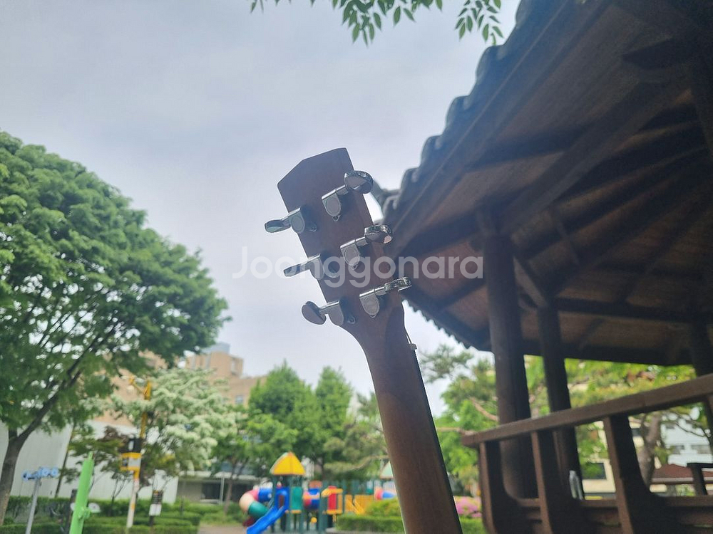 헥스 입문용 탑솔리드 드레드넛 바디 통기타 판매--4