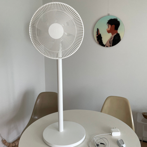 샤오미 스탠딩 스마트 무선선풍기 프로 한국 정발