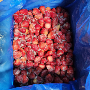 맥그로우앤마리 냉동 딸기 1kg