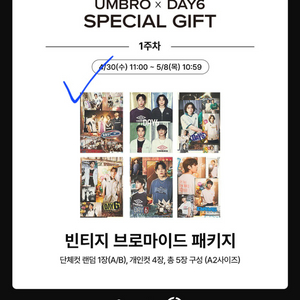데이식스 엄브로 브로마이드