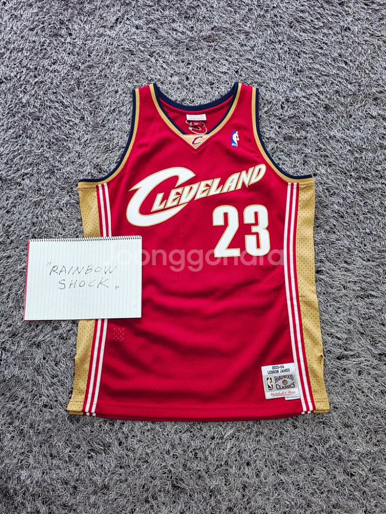 미첼엔네스 르브론 스윙맨 져지 L 새제품--0