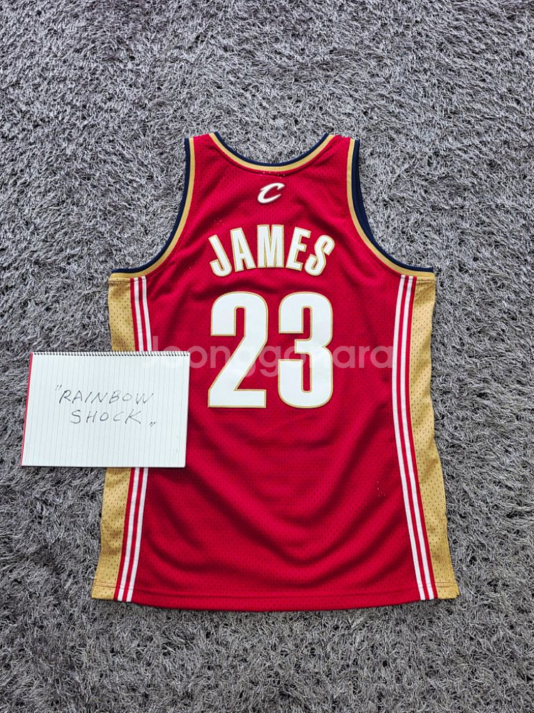 미첼엔네스 르브론 스윙맨 져지 L 새제품--1