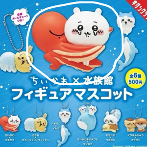 수족관 치이카와 문어 치이카와 가챠 피규어 키링