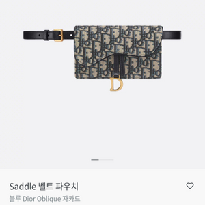 디올 오블리크 벨트 파우치 가방