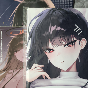 블루아카이브 리오 다키마쿠라 커버,일러북