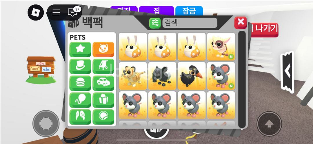 입양하세요 아이템 팝니다--9