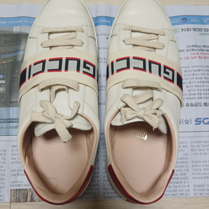 구찌 스니커즈