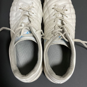 데피니브 bs two 260