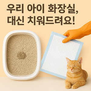 고양이 화장실 대신 치워드릴게요!