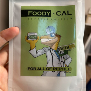 도마뱀 칼슘