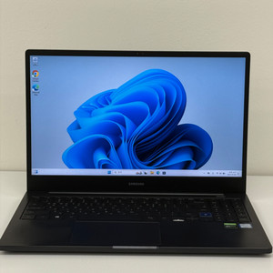 삼성 게이밍 노트북 i5 16GB 512GB 1650