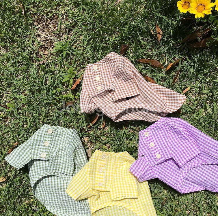강아지옷 봄여름 체크블라우스 티셔츠 2XL/ 마랑샤넬--0