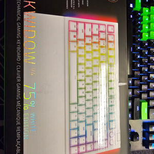 레이저 BlackWidow V4 75% KR