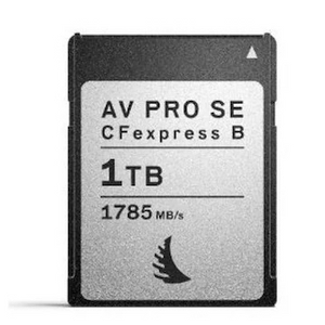 엔젤버드 AV PRO CFB SE 1TB