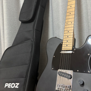 peoz 일렉기타
