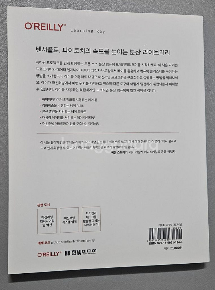 러닝 레이 (Running Ray)--1