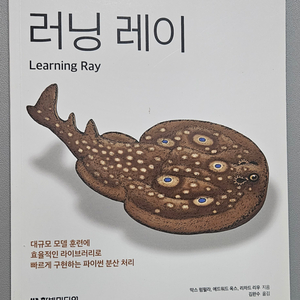 러닝 레이 (Running Ray)