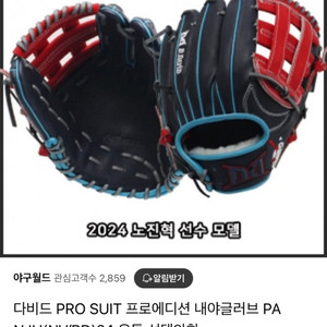다비드 프로 글러브