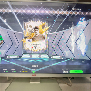 fc온라인