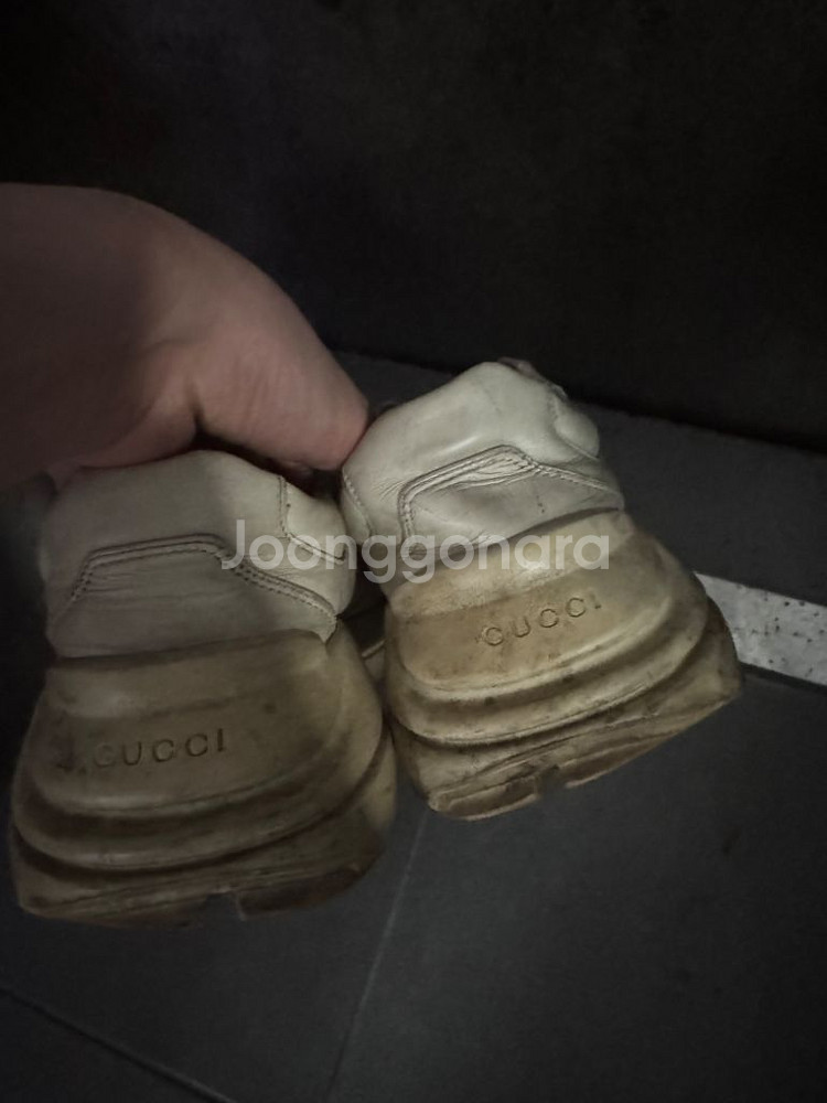 구찌 롸이톤 운동화팝니다--1