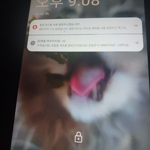 iplay 50 mini pro 오늘만8만