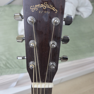 Sigmarguitars dr 1st