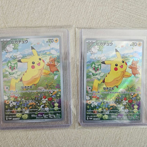 포켓몬카드 여름이왔다 피카츄프로모 일본판