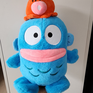 문어 한교동 35cm