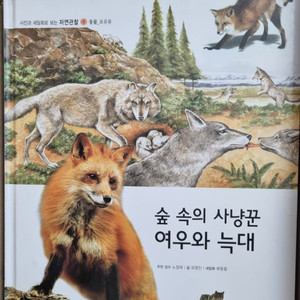 한국헤밍웨이 자연관찰 동물책