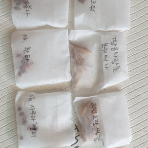 사랑초구근20종