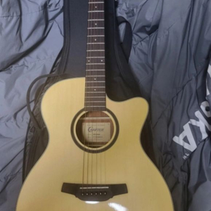 크래프터 기타 HTE-250