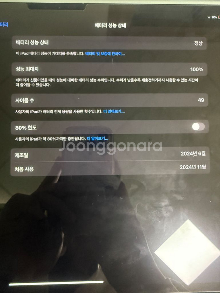 아이패드 프로 m4 256기가 실버 와이파이+ 애플팬슬--1