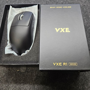 VXE R1 PRO MAX 블랙 판매