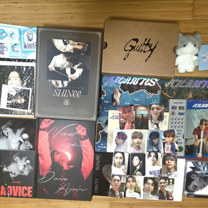 샤이니 태민 taemin 포카 앨범 인형 시그 꿍이