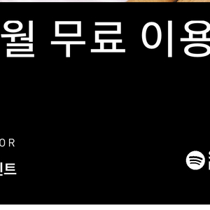 스포티파이 3개월 이용권